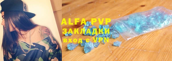 шишки Корсаков