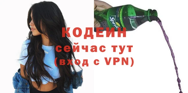 шишки Корсаков