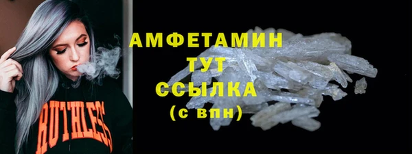 шишки Корсаков