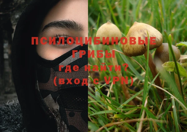 шишки Корсаков