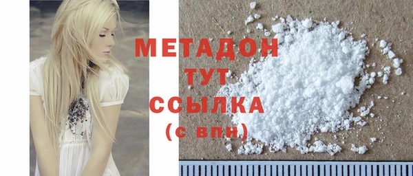 шишки Корсаков