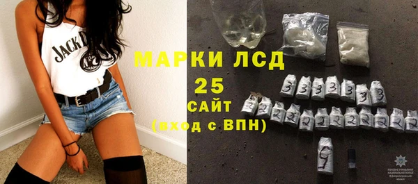 шишки Корсаков