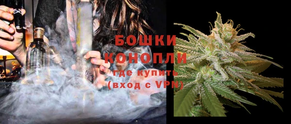 шишки Корсаков