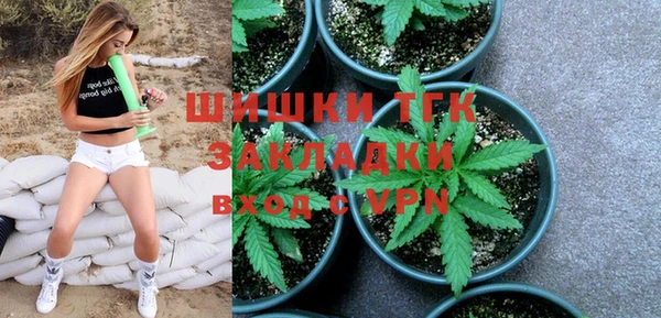 шишки Корсаков