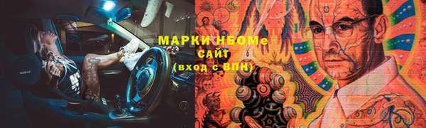 шишки Корсаков